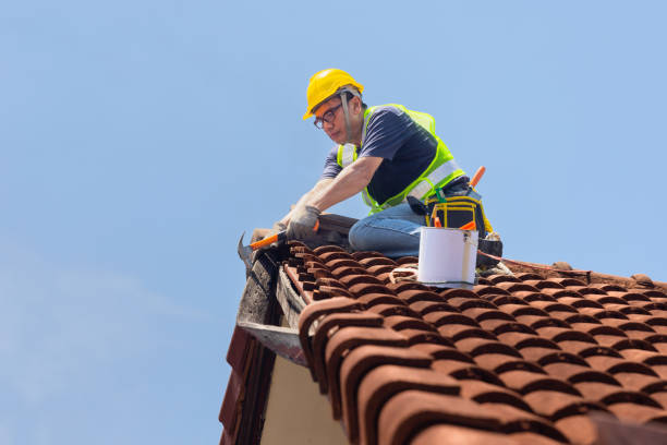 Best Roof Moss and Algae Removal  in Brookmont, MD